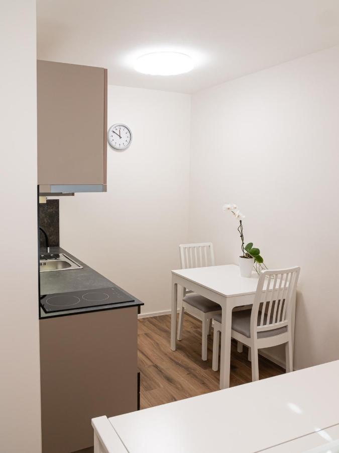 Apartmany Gemini 兹林 外观 照片