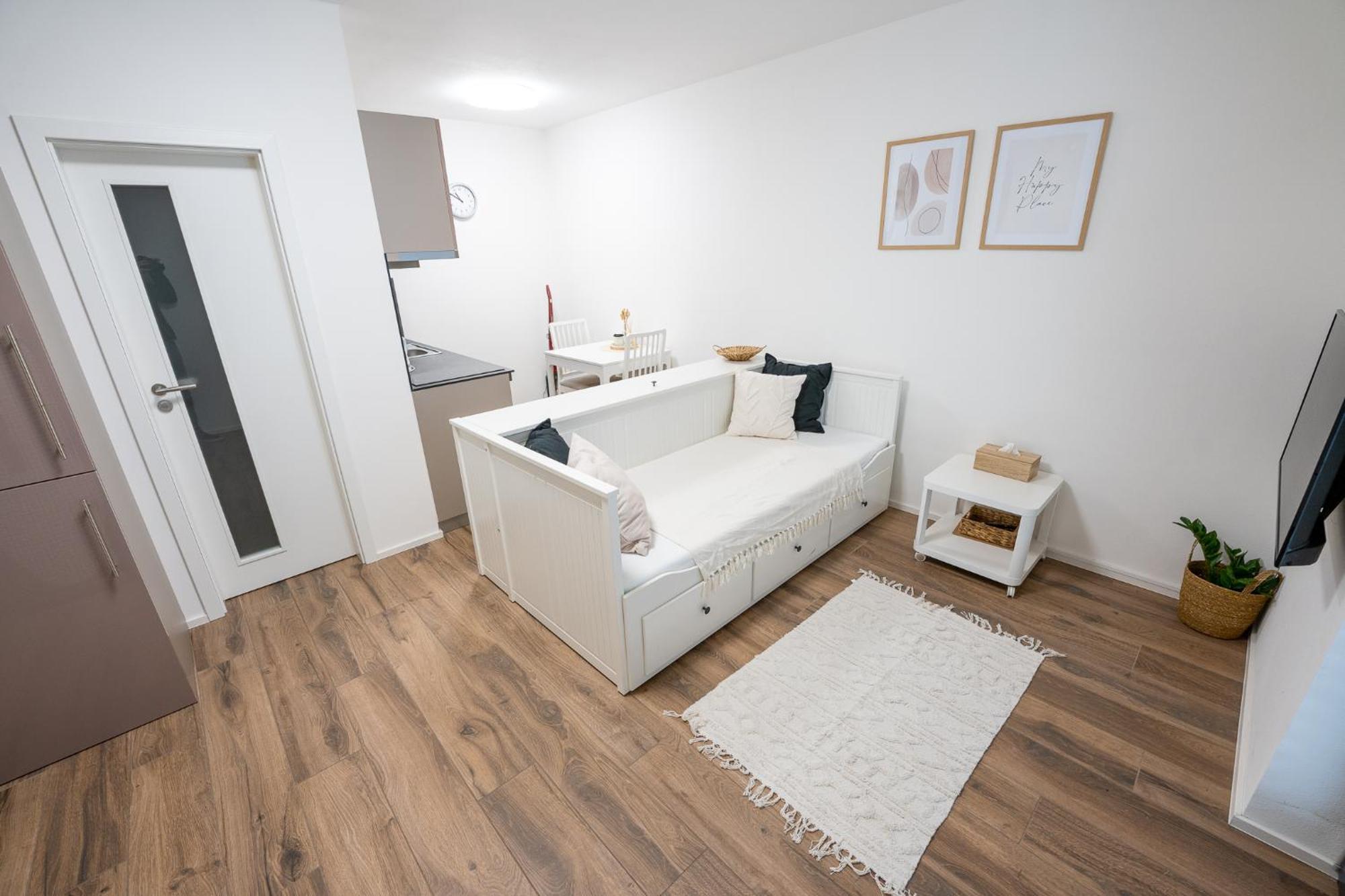 Apartmany Gemini 兹林 外观 照片